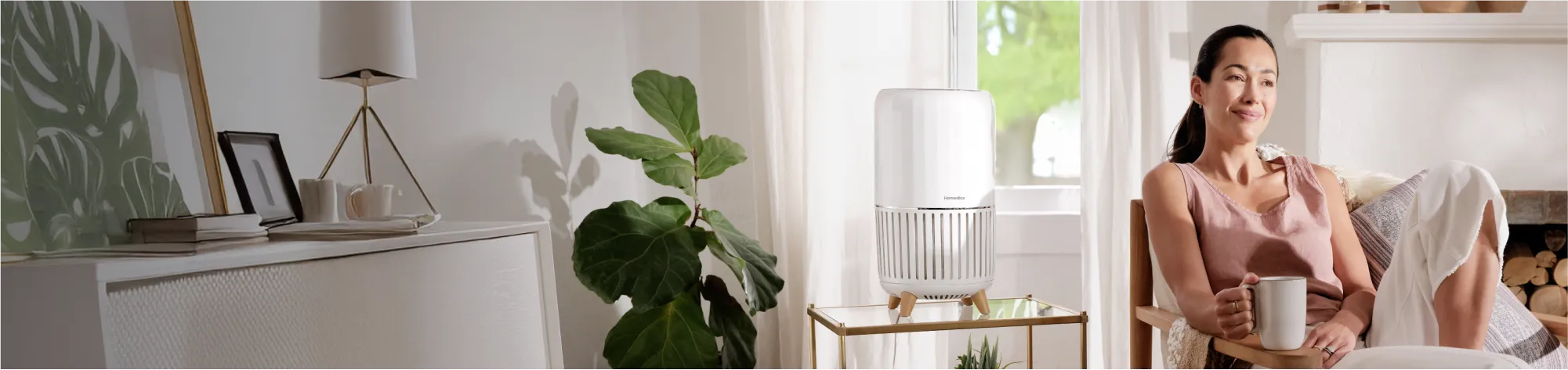 Air Purifiers Desktop