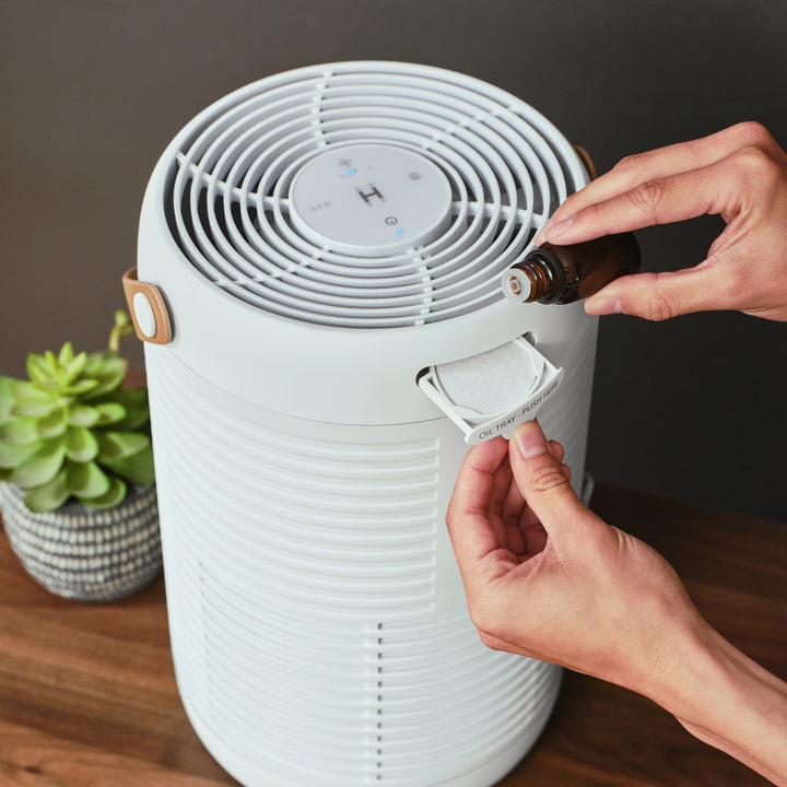 Air Purifier T95 takes essential oils to dispense fresh fragrance into the air