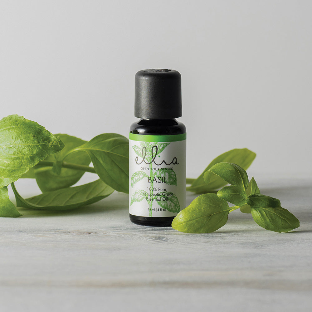 Basil Essential Oil