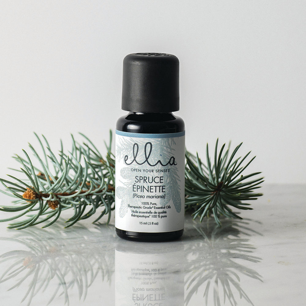 Salvia 100% Pure & Natural Spruce Essential Oil - Aromatherapy Oil In Glass Dropper Bottle (0.33 Fl Oz To 169.07 Fl Oz)