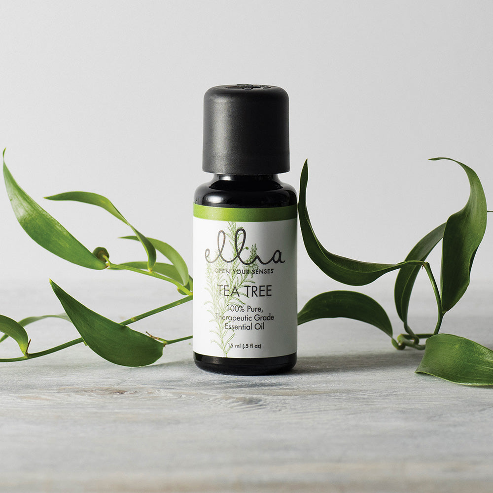 tea tree oil and lavender oil mix Ellia Tea Tree Essential Oil – Homedics