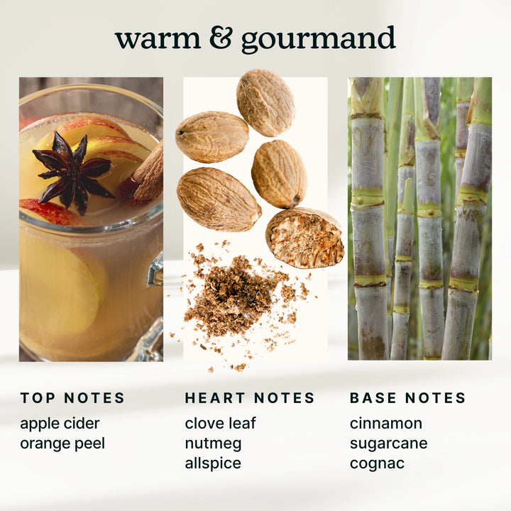 Infographic of warm and gourmand scents with a drink, spices, and sugarcane.