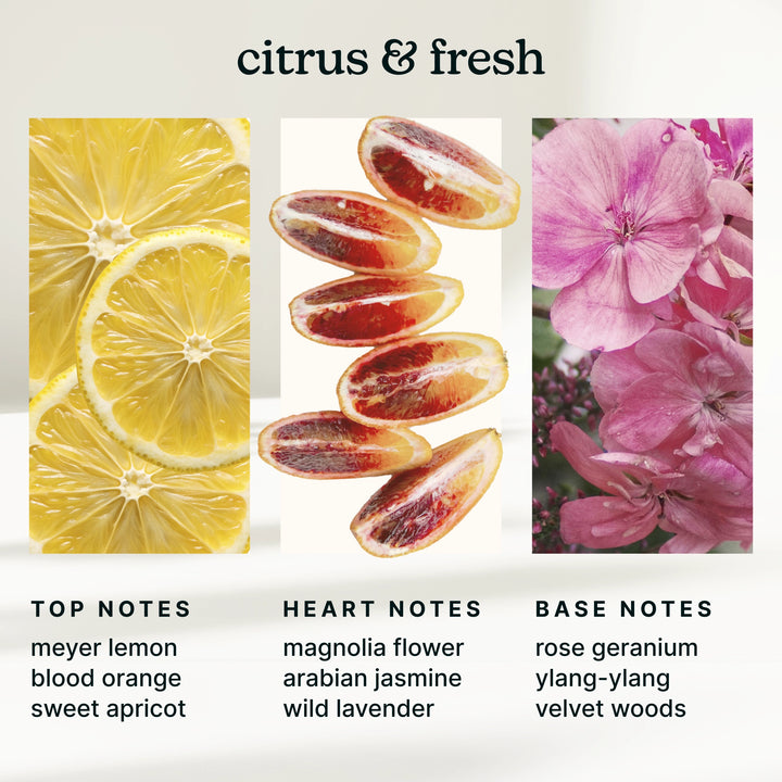 Illustration of citrus fruits and flowers with notes on fragrance profile.