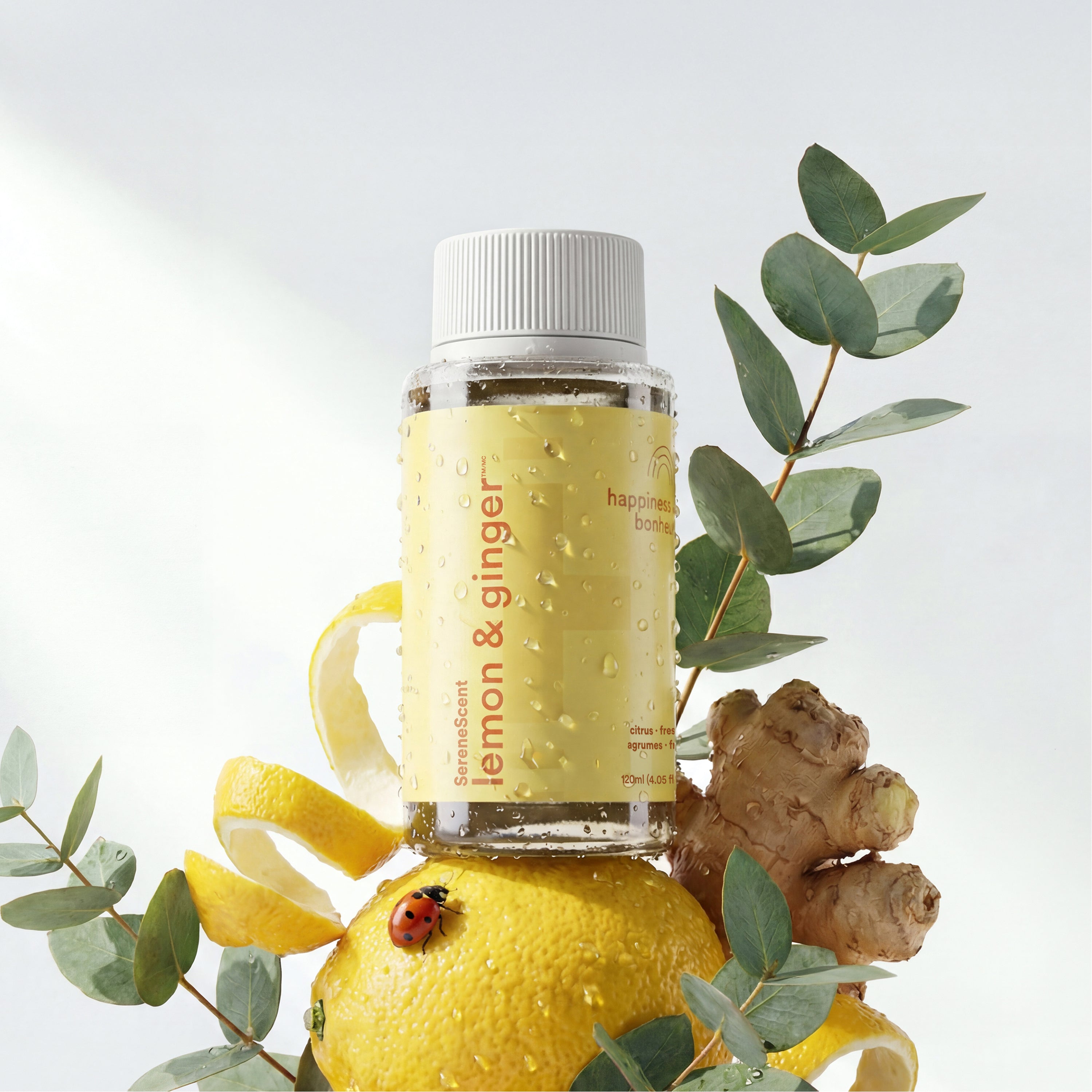 SereneScent™ Lemon & Ginger – Homedics