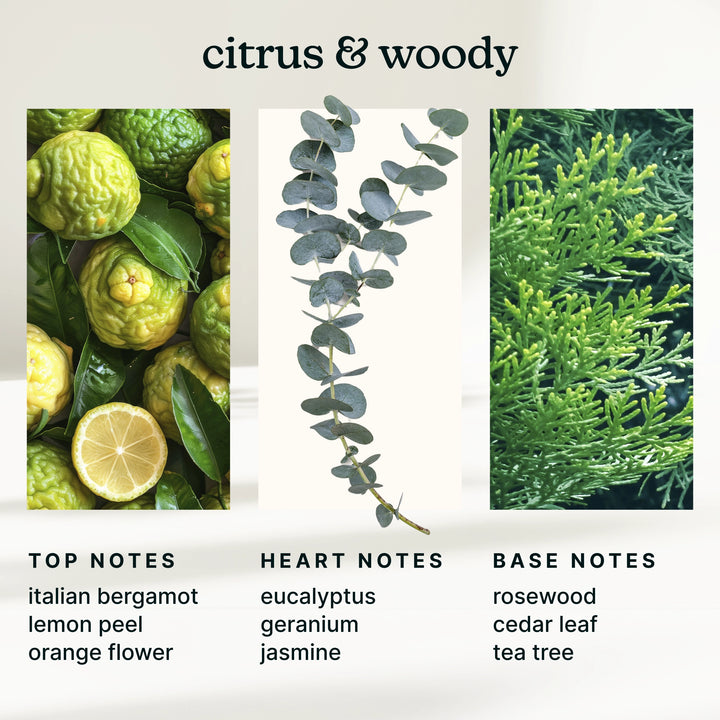 Illustration of citrus and woody elements with corresponding notes on a white background.