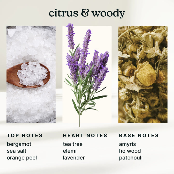 Illustration of citrus and woody scents with corresponding images and notes.