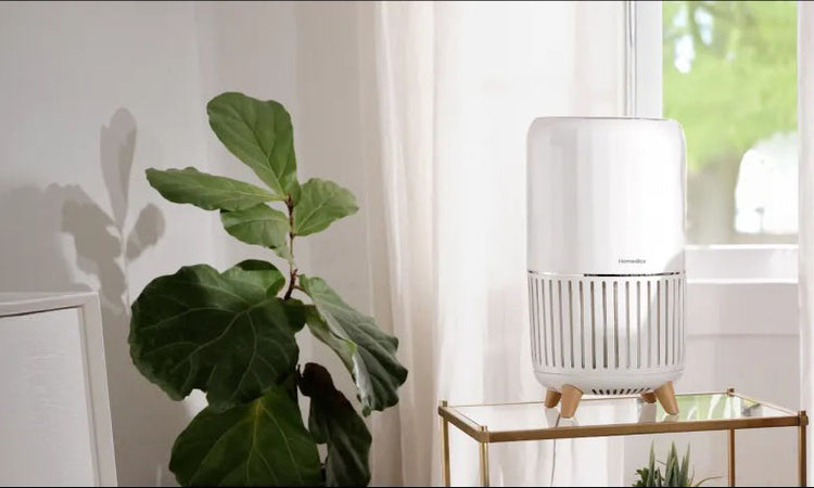 Air Purifiers