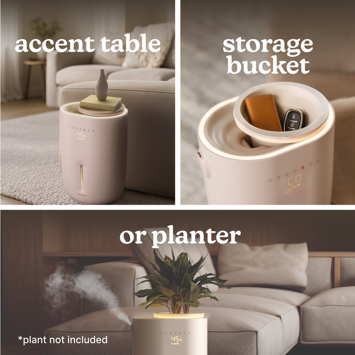 Small Plant Humidifier