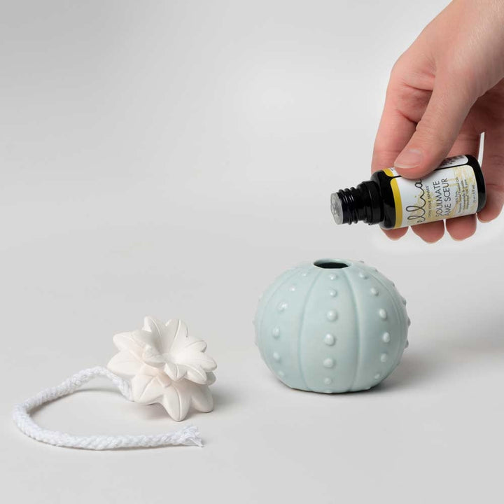 Desert Bud Porcelain Aroma Diffuser - How to Fill
