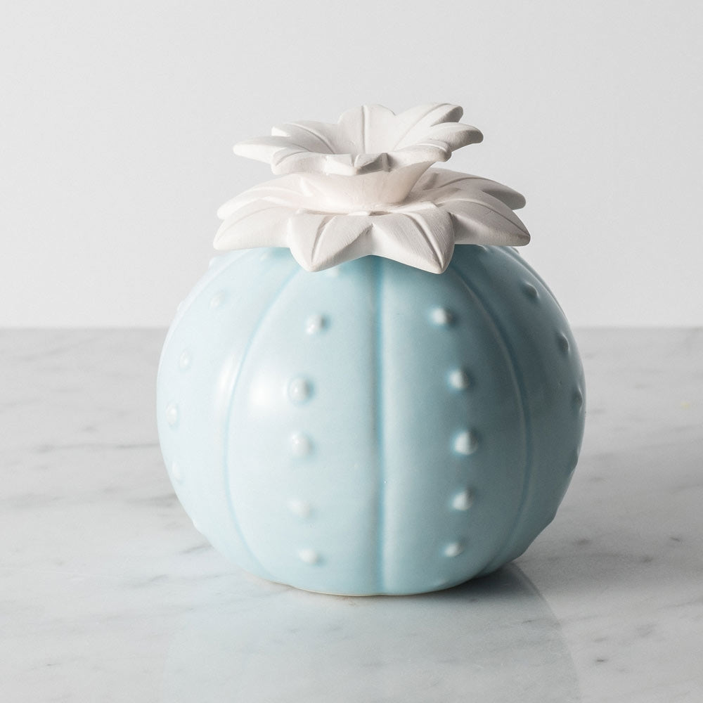 Desert Bud Porcelain Aroma Diffuser - How to Fill