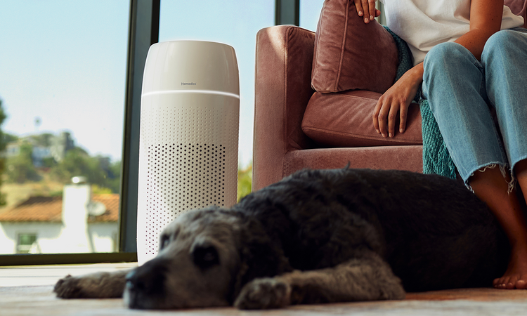 Pet Air Purifiers