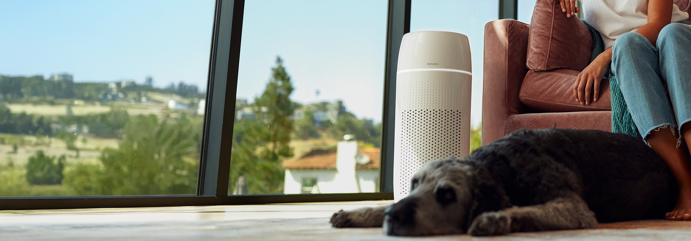 pet air purifier
