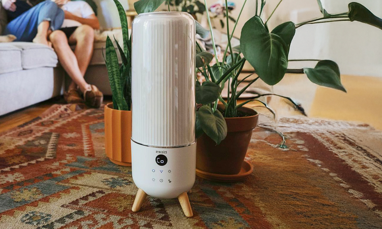 Cool Mist Humidifiers