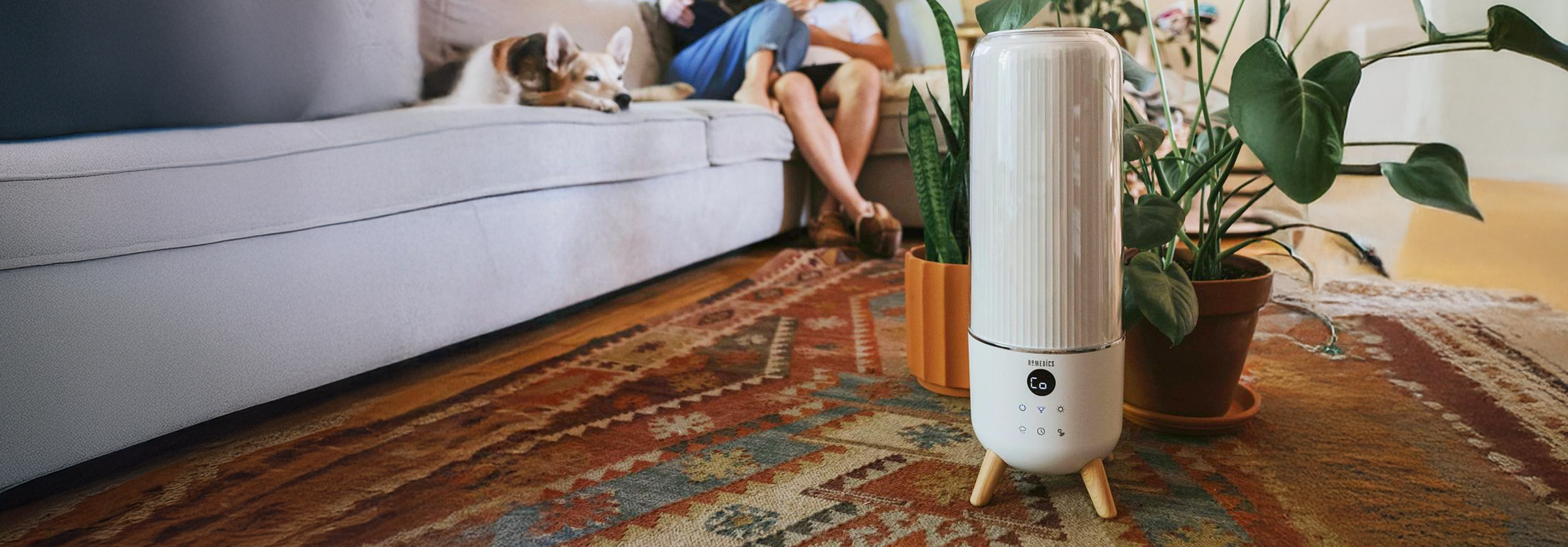 Cool Mist Humidifiers