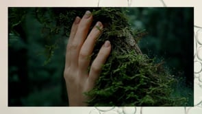 SereneScent™ Sugar Cookie 120ml