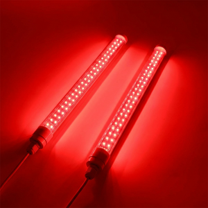 Premium Steam Sauna + Dual Red Light Wands