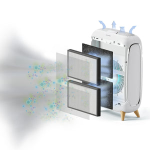 3-in-1 True HEPA Replacement Filter for AP-C500