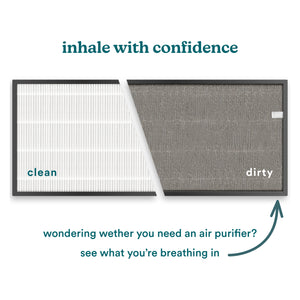 3-in-1 True HEPA Replacement Filter for AP-C500