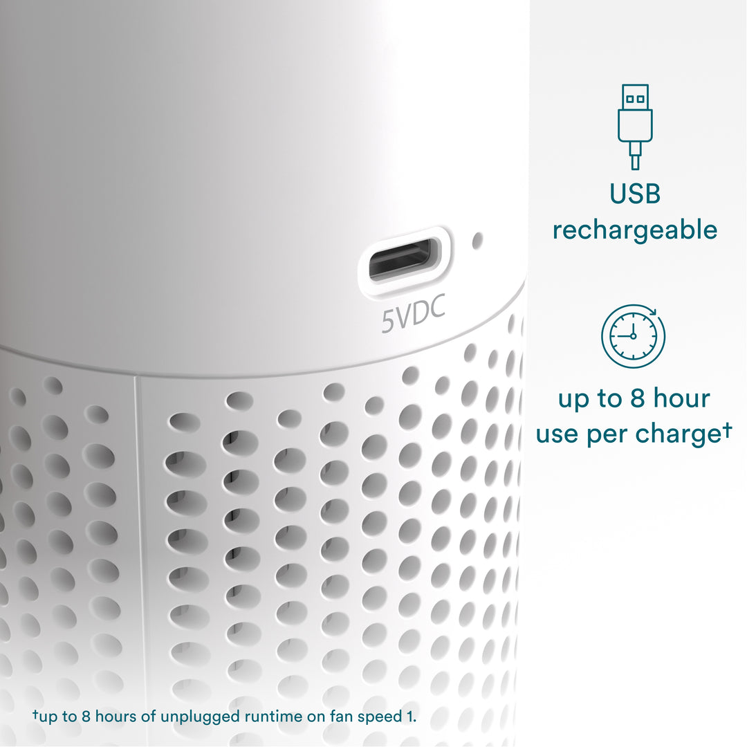 Portable Air Purifier