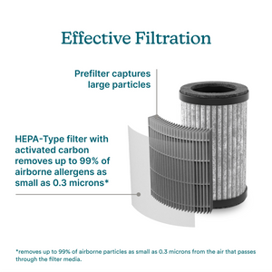 Homedics® Replacement 3-in-1 HEPA-Type Filter