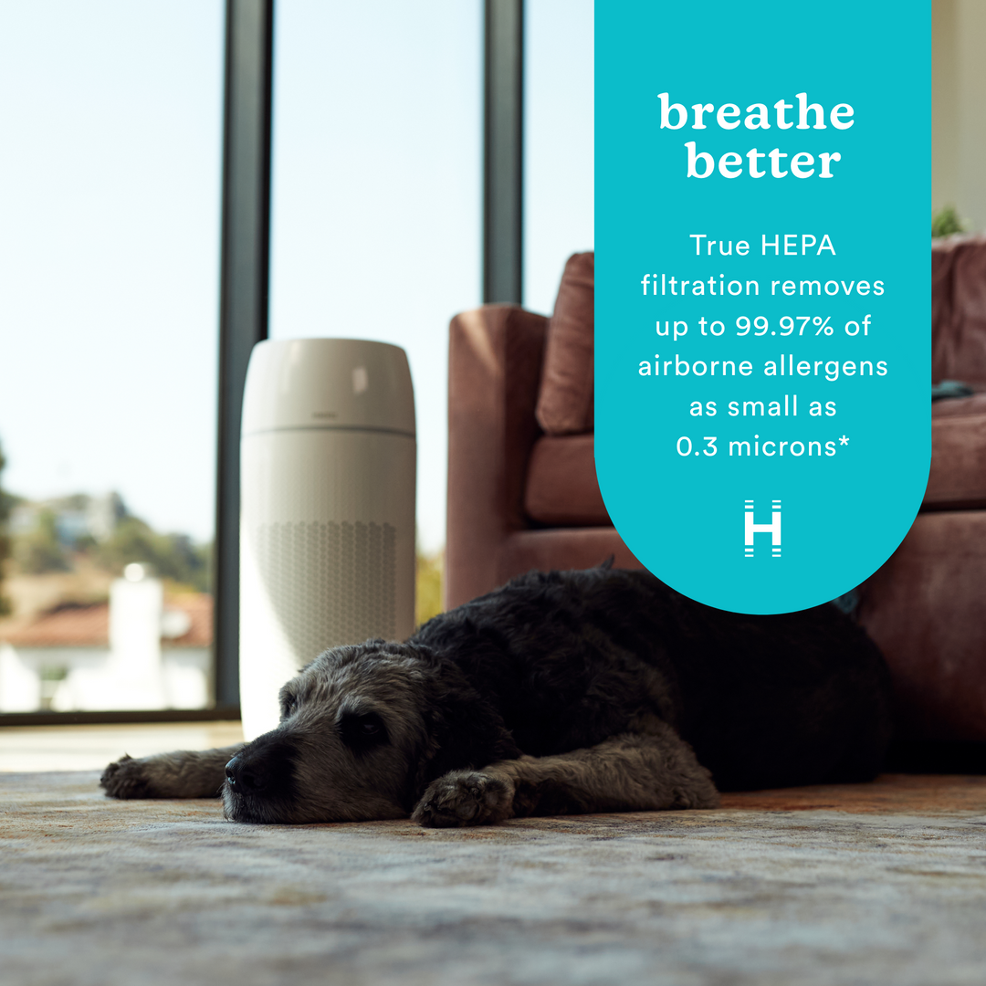 TotalClean® PetPlus 5-in-1 Air Purifier - Highlights
