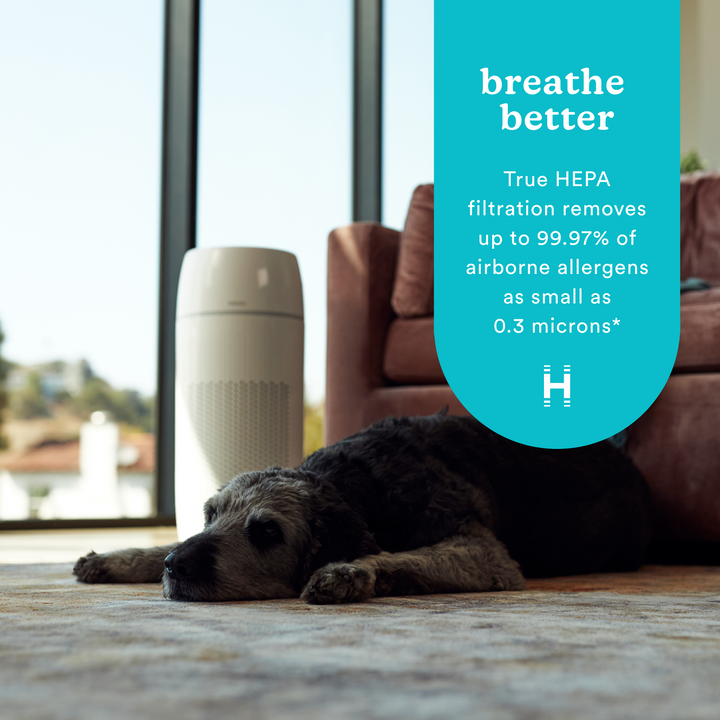 TotalClean® PetPlus 5-in-1 Air Purifier - Highlights