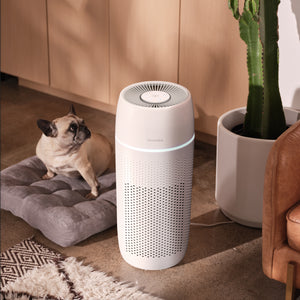 Pet on its bed laying next to the Homedics TotalClean PetPlus 5-in-1 Air Purifier