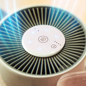 Top-down view of the Homedics TotalClean PetPlus 5-in-1 Air Purifier