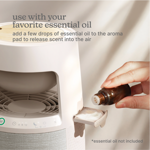 Natura Air Purifier