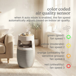 Natura Air Purifier