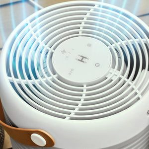 Top view of Smart Air Purifier T100 has controls on top for manual adjustments