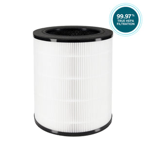 Replacement 3-in-1 True HEPA Replacement Filter for AP-T100 helps you inhale with confidence