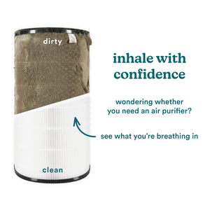 Replacement 3-in-1 True HEPA Replacement Filter for AP-T100 helps you inhale with confidence