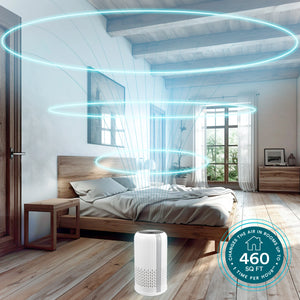 Image shows Homedics Air Purifier T12 placed in a room