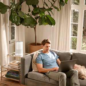 TotalClean® HEPA Small Room Air Purifier purifies living room air while a guy does some work from the couch