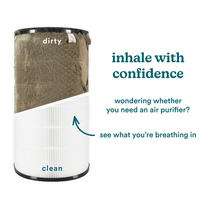 3-in-1 True HEPA Replacement Filter for AP-T200