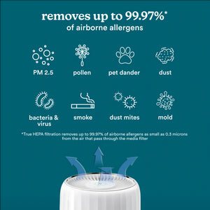 User controlling various functionalities of the Smart Air Purifier T200 from smartphone