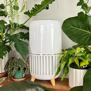 Couple laying on bed with pet next to the Smart Air Purifier T200 placed on the side table. Removes 99.97% of airborne allergens