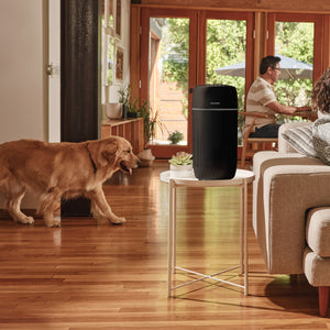 Black | Medium Room Tower Air Purifier T22 rests on the table and purifies the family air