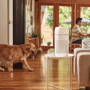 White | Medium Room Tower Air Purifier T22 rests on the table and purifies the family air