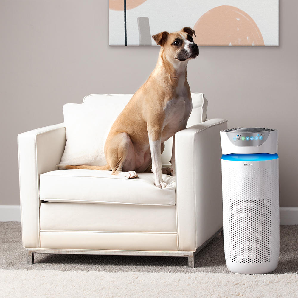 White | White Homedics TotalClean 5-in-1 UV-C Large Room Air Purifier on floor next to dog sitting in chair