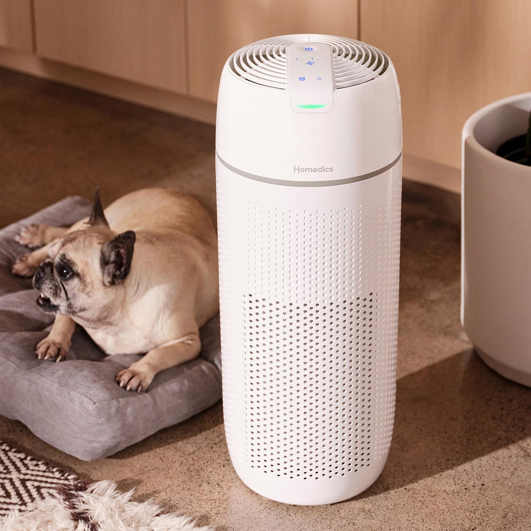 Large Room Tower Air Purifier T43 purifies the air of the room while a dog lounges close by