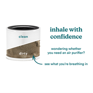 Homedics® 3-in-1 True HEPA Replacement Filter