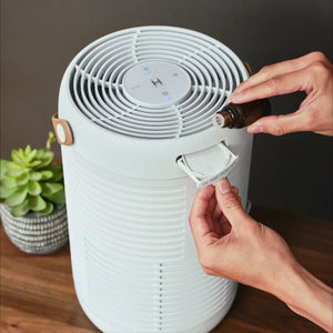 Air Purifier T95 can also take essential oils releasing fragrances into your space
