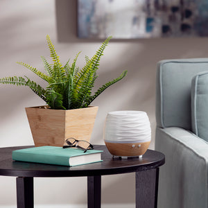 White | Ascend Ultrasonic Aroma Diffuser