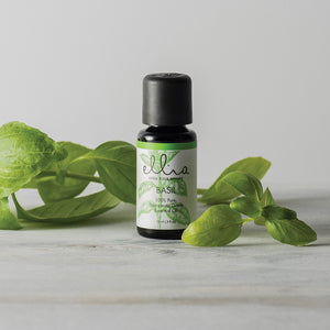 Basil Essential Oil