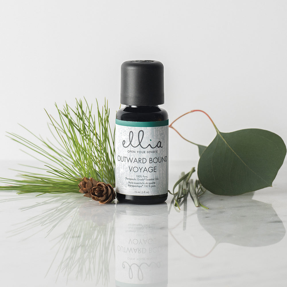 Outward Bound Essential Oil Blend