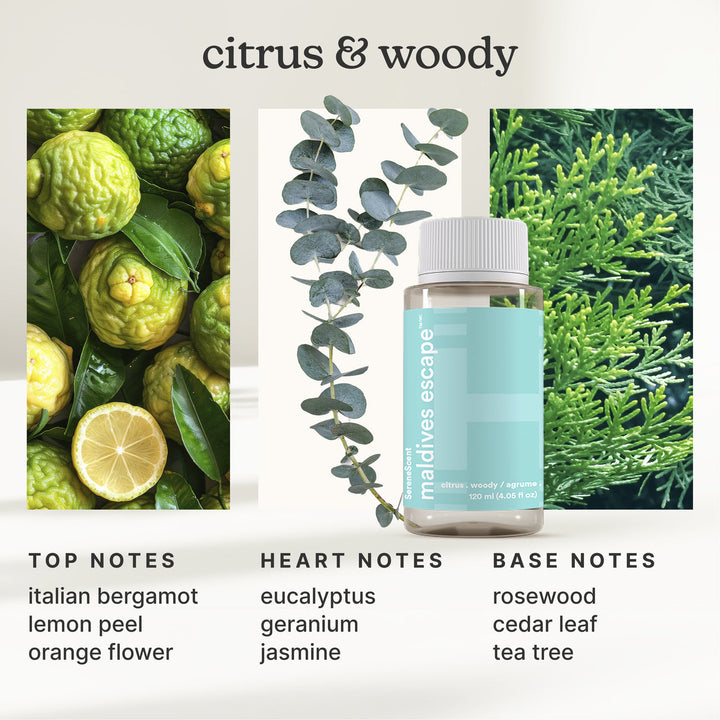 SereneScent™ Waterless Home Fragrance Diffuser & Oils Set