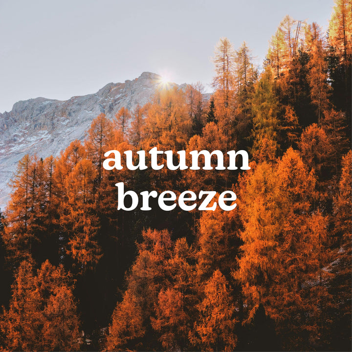 SereneScent™ Autumn Breeze 120ml