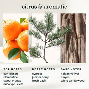 SereneScent™ Autumn Breeze 120ml